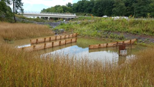 20170818_144915 Potters Mill Gap-R-1032×581 20170818_144915 Potters Mill Gap-R-1032×581